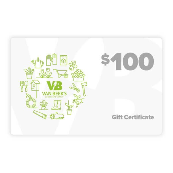 $100.00 VB Gift Certificate